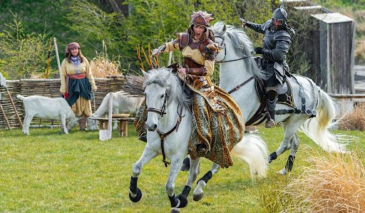 Queen’s Platinum Diamond Jubilee Queen’s Platinum Diamond Jubilee